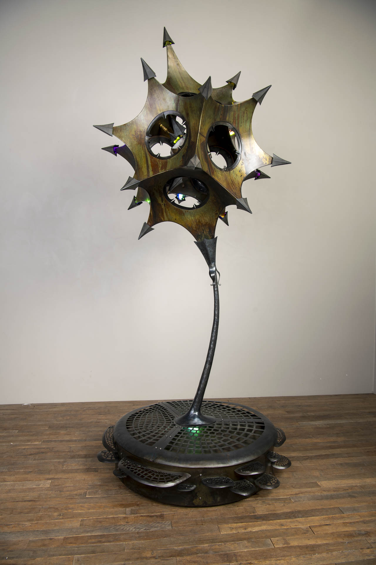 Radiolarian Itsaso