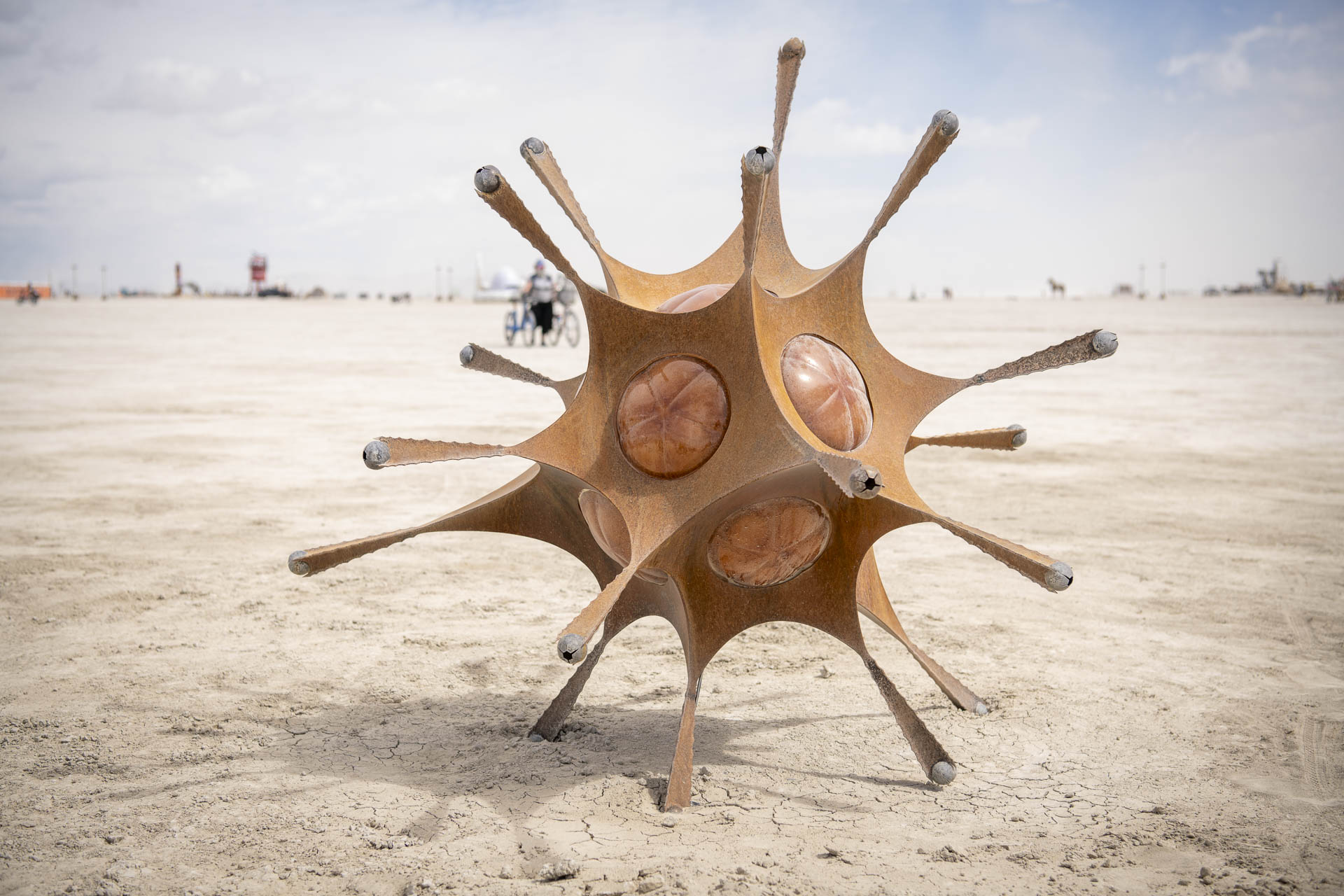 Radiolarian Muir
