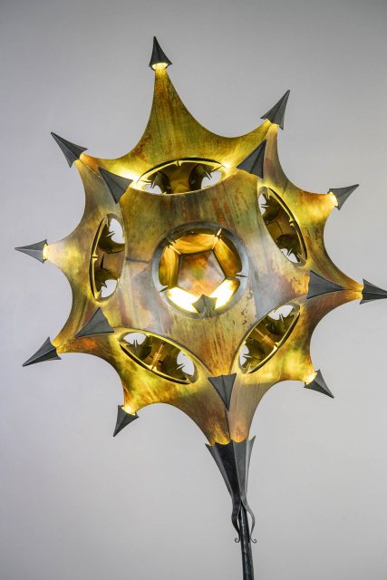 Radiolaria Izar Radiolarian Izar