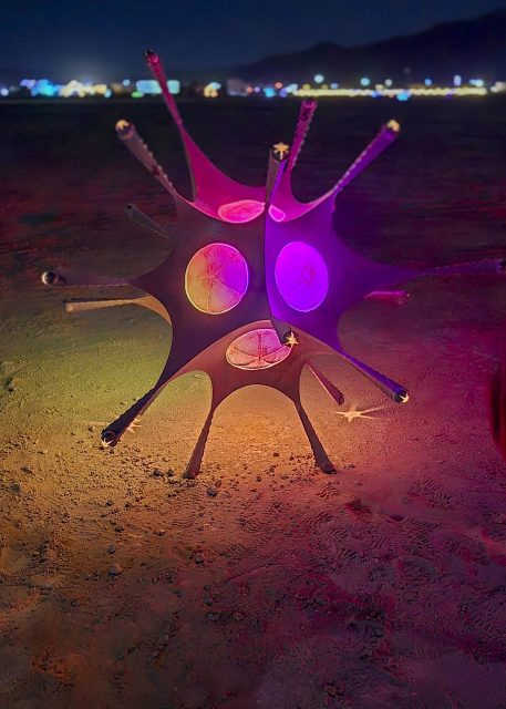 Radiolarian Muir