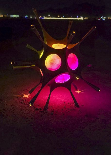 Radiolarian Muir