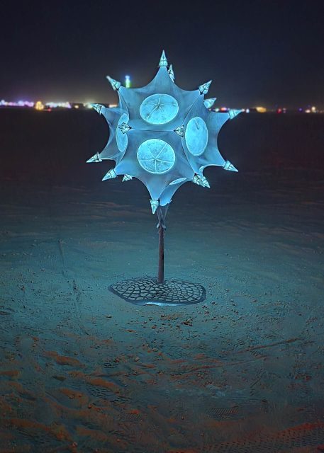 Radiolaria Argi