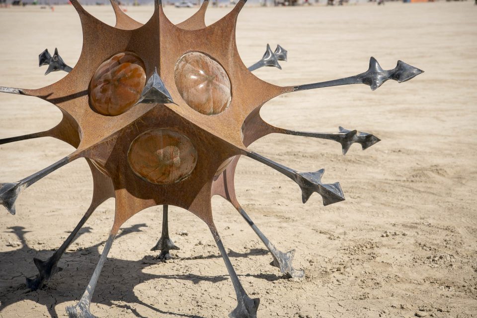Radiolarian Itsaso