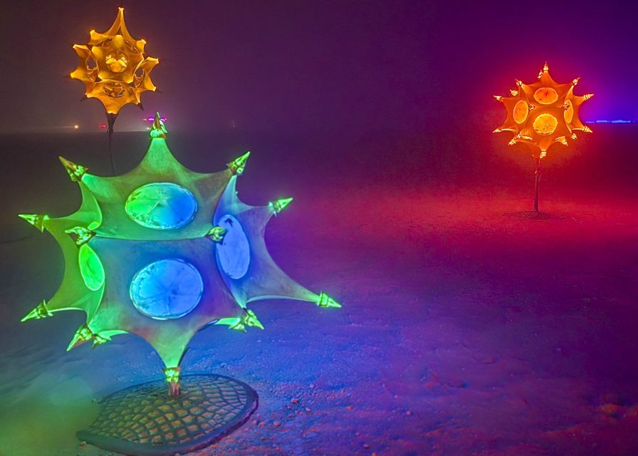 Radiolarian Distria